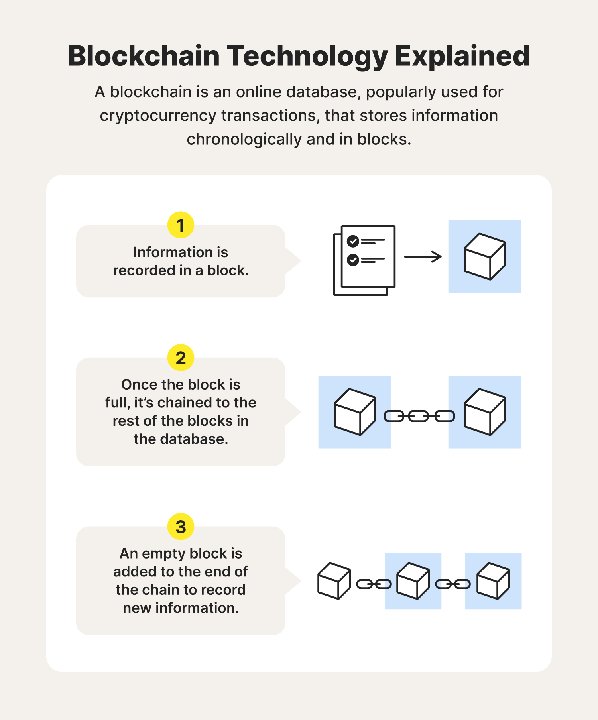 Trust冷钱包链上数据